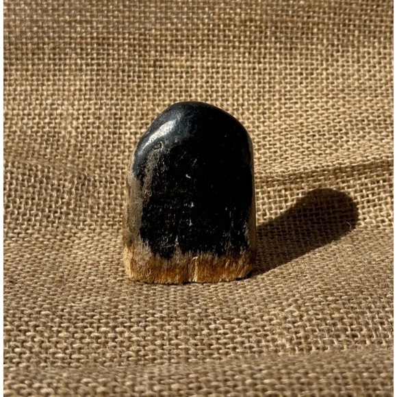 Petrified Wood From Indonesia 2.5" - Picture 8 of 12